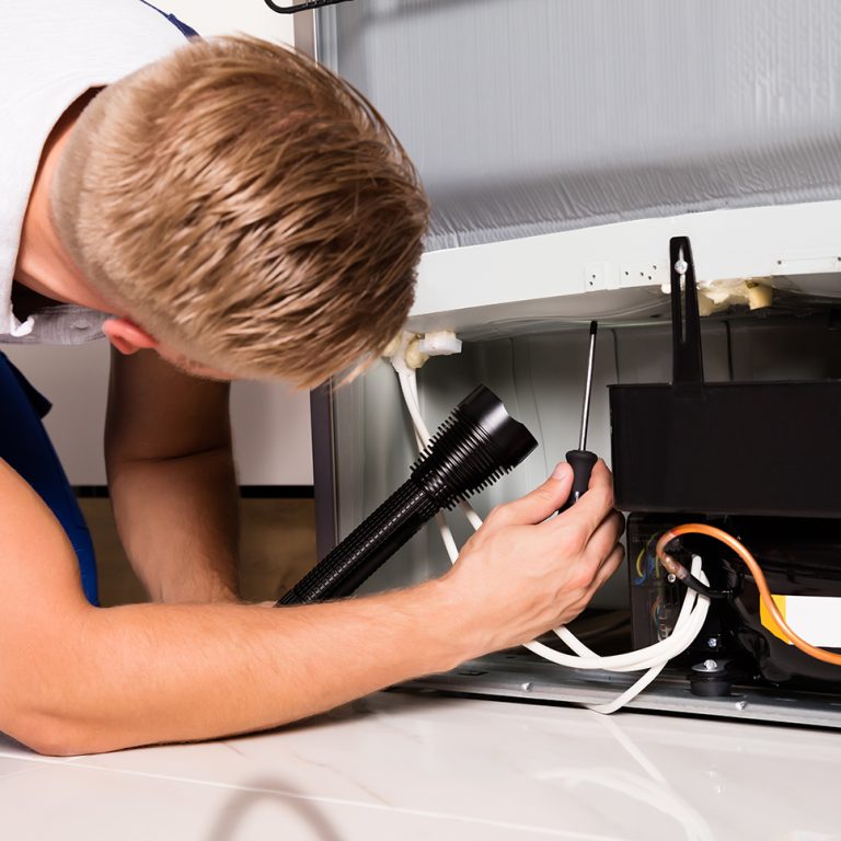 Appliance Repair Lakeview