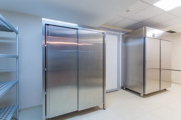 Stainless Steel 2 Door Commercial Coolers Repair Lakeview